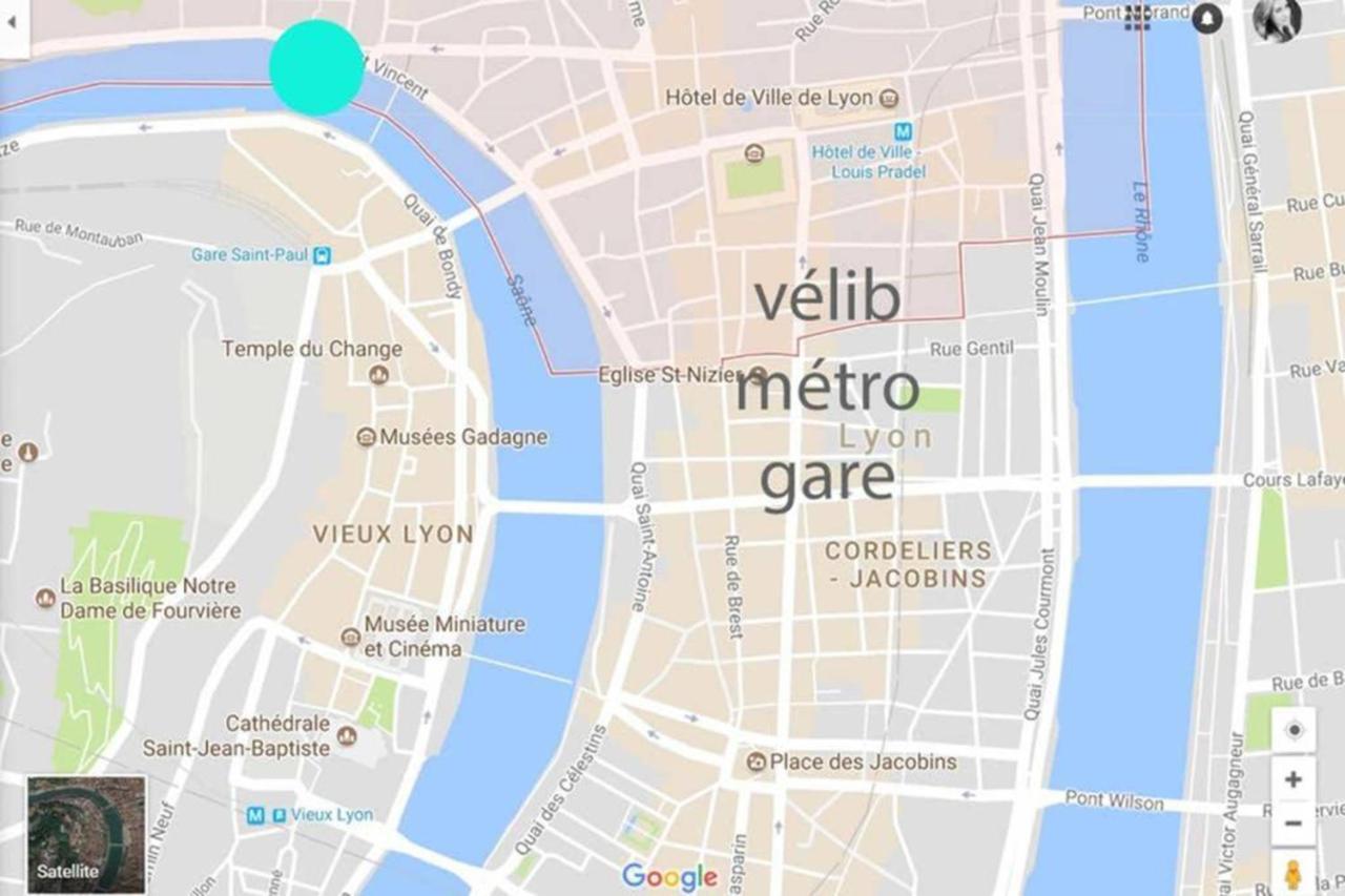 Appartement Haussmannien D'Artiste, Exception, Quai De Saone Balcon+Parking Lyon Ngoại thất bức ảnh